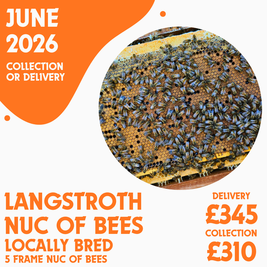 Langstroth 5 Frame Nuc of Bees - Locally Bred Queen - Delivery/Collection 19th June