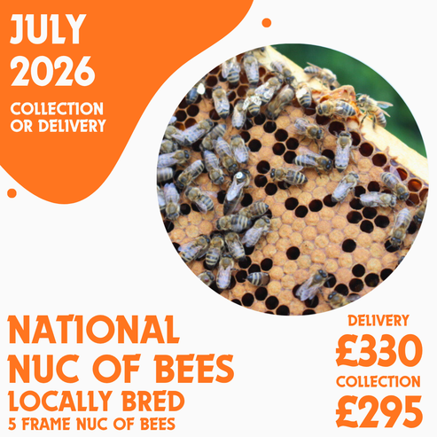 National 5 Frame Nuc of Bees - Locally Bred Queen - Delivery/Collection 3rd July