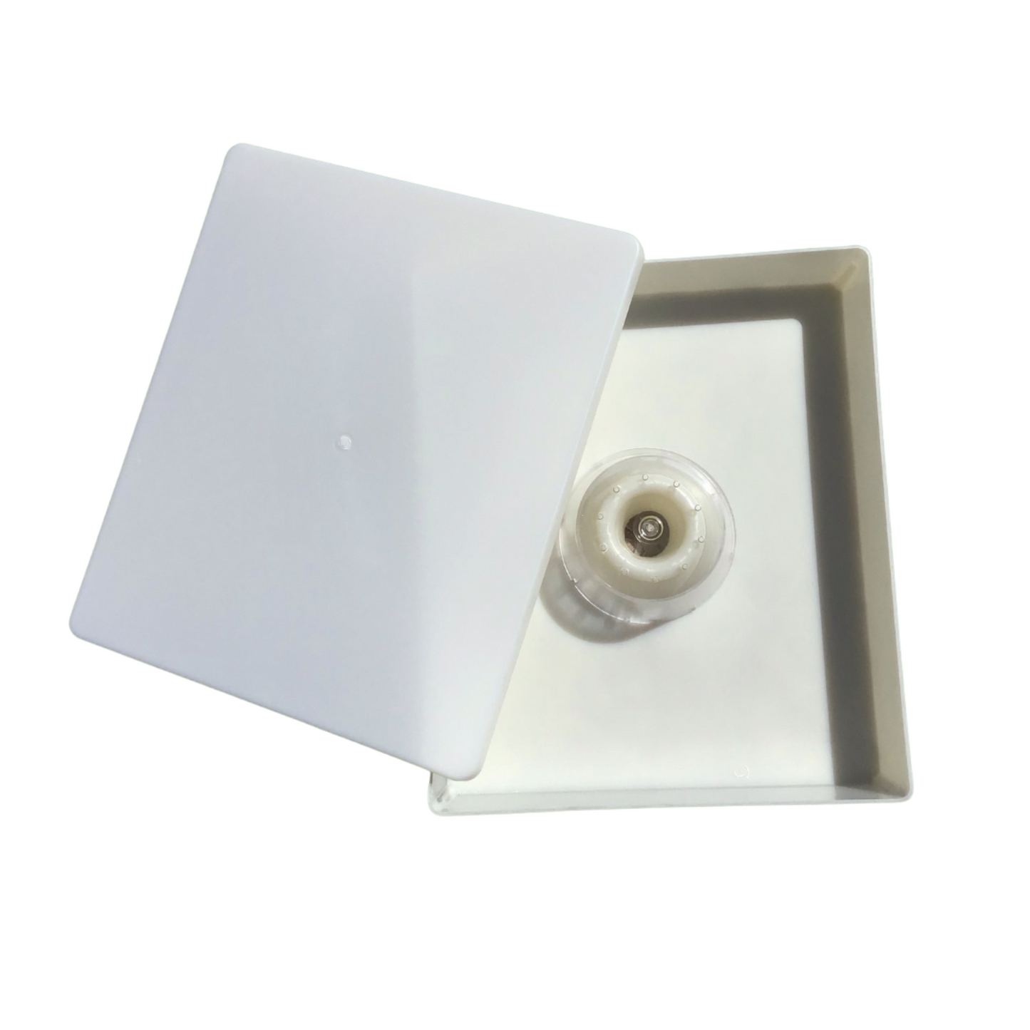 English Bee Feeder