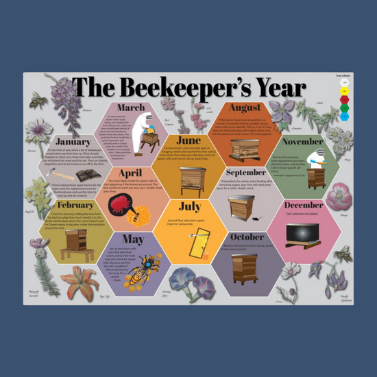 The Beekeeper's Year A1 Poster