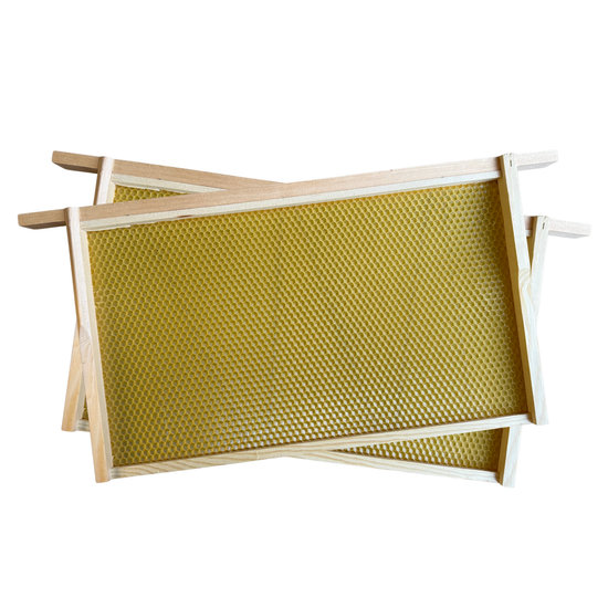 National Spring Hive with Assembled Frames