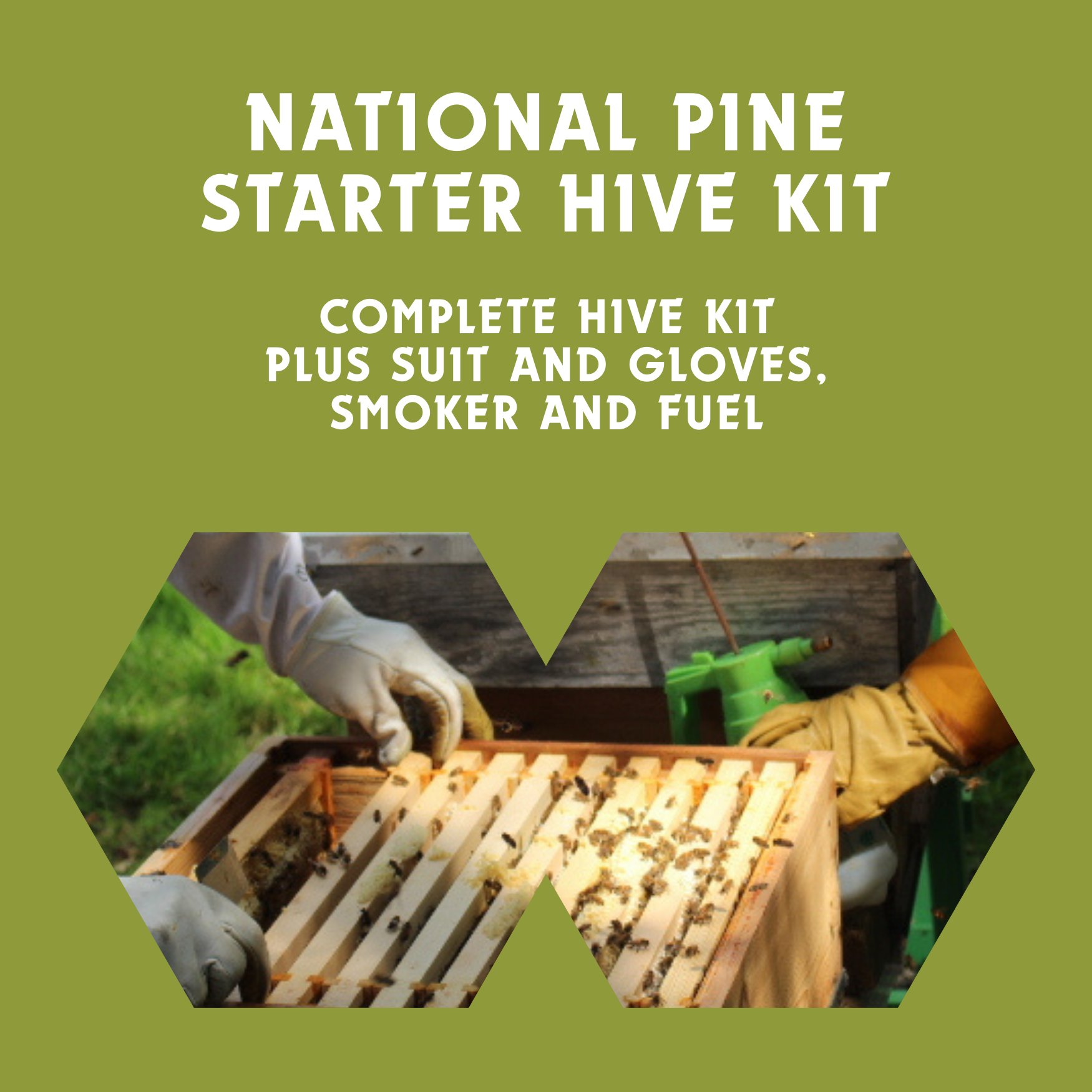 National Complete Starter Hive Kit - Pine