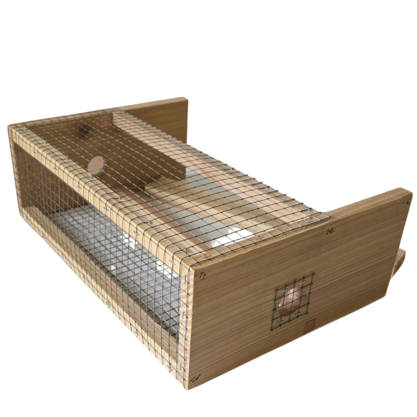 Langstroth Asian Hornet Defender - Western Red Cedar