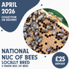 National 5 Frame Nuc of Bees - Locally Bred Queen - Ready April 2026