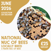 National 5 Frame Nuc of Bees - Locally Bred Queen - Ready June 2026