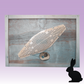 Rhombus Clearer Bee Escape