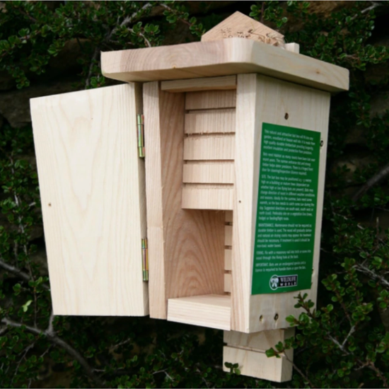 Original Bat Box