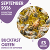 Buckfast Queen - Ready September 2026