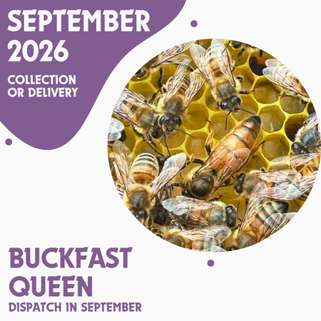 Buckfast Queens