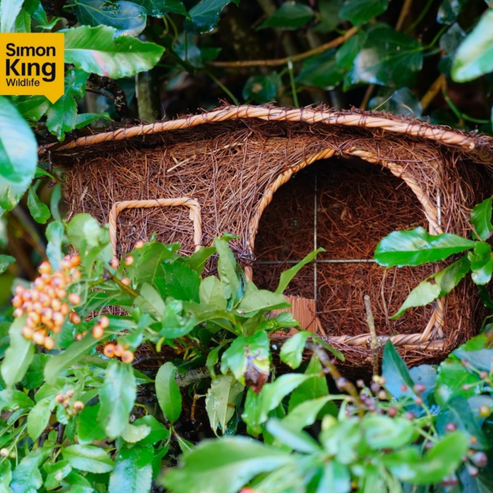 Robin Cabin Nester by Simon King