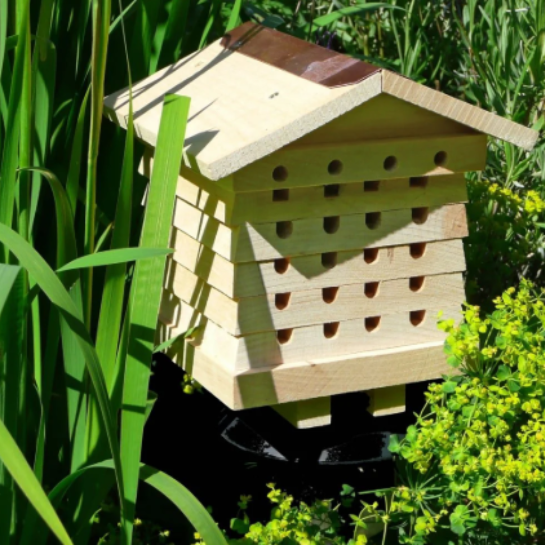 Stacking Solitary Bee Hive