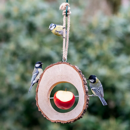 Bird Feeders