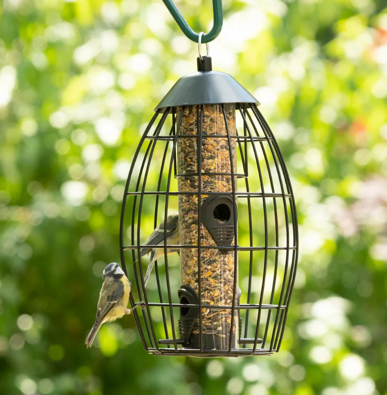 Singapore Guardian Seed Feeder