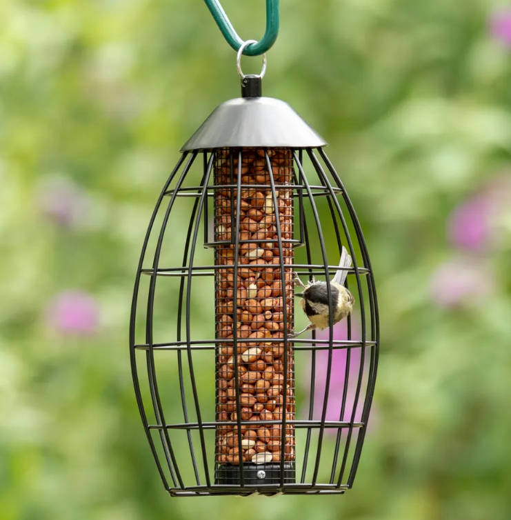Singapore Guardian Peanut Feeder