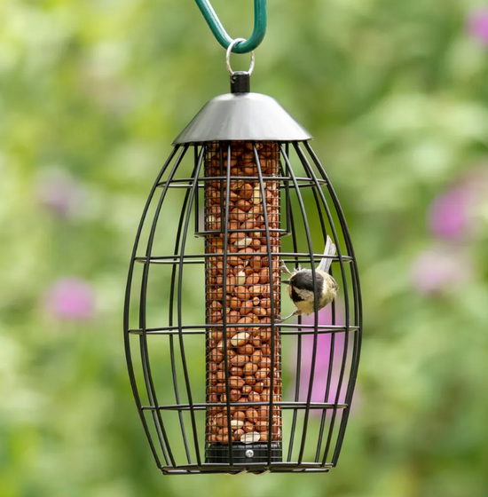 Singapore Guardian Peanut Feeder