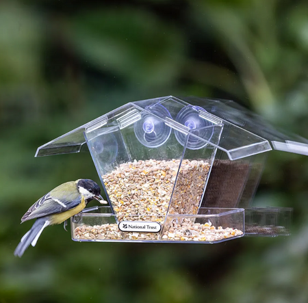 Peanut Feeders