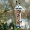 Apollo Peanut Feeder - 4 Ports by National Trust