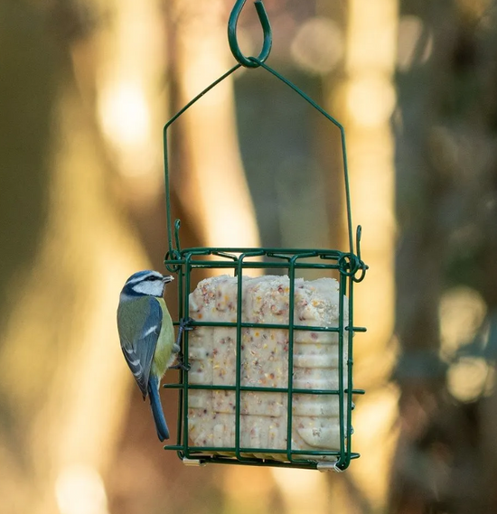 Rhine Cake Square Feeder by National Trust