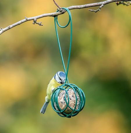 Fat Ball Feeders