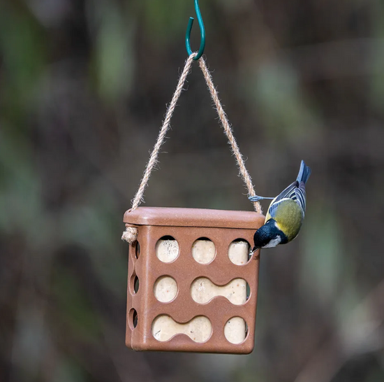 Rome Peanut Cake Feeder Brown