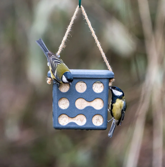 Rome Peanut Cake Feeder Anthracite