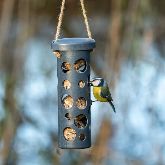 Rome Fat Ball Feeder Anthracite