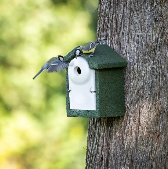 The WoodStone 32mm Nest Box by National Trust
