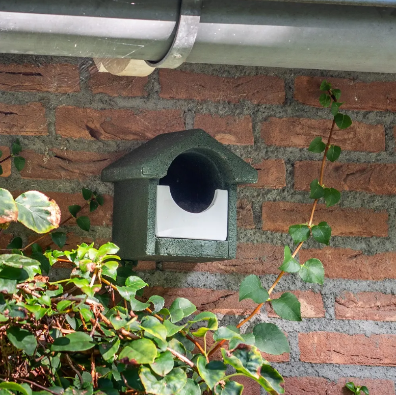 The WoodStone Open Nest Box by National Trust