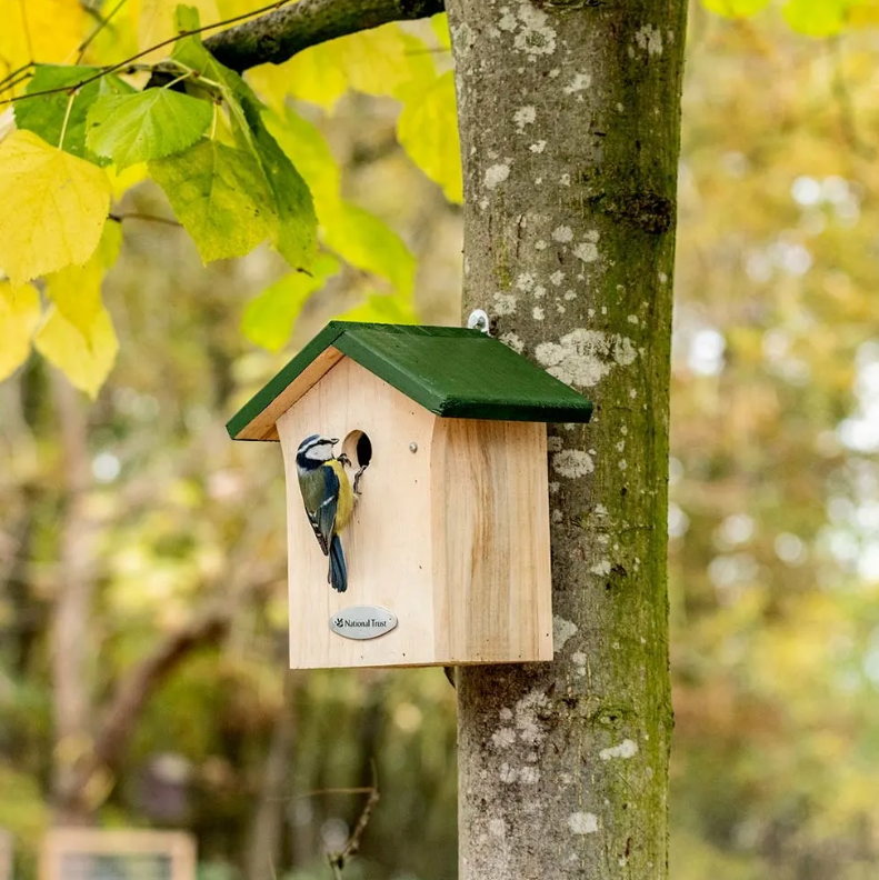 Blue Tit Nest Box Gift Set by National Trust