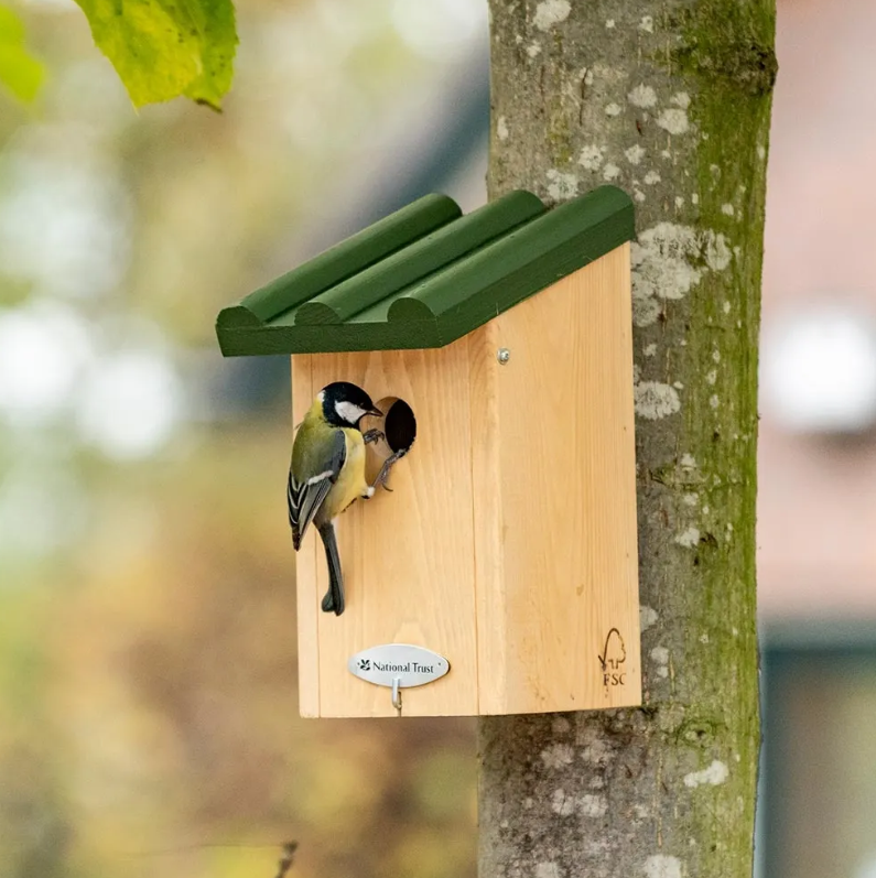 Great Tit Nest Box Gift Set by National Trust