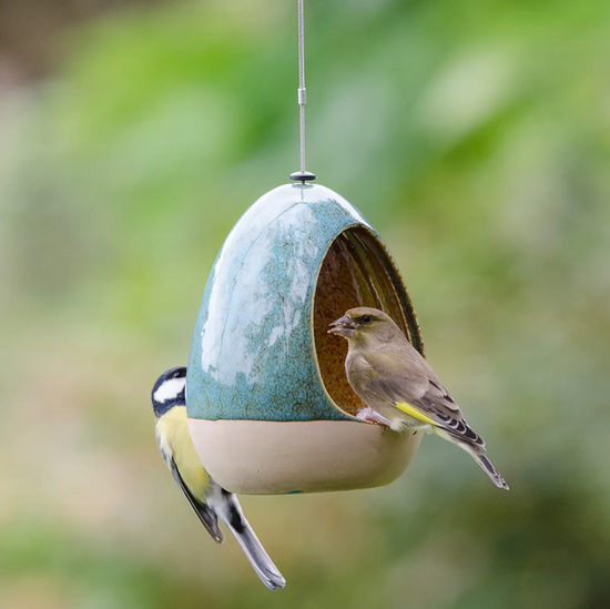 Vierno Drinker Water Dish by National Trust