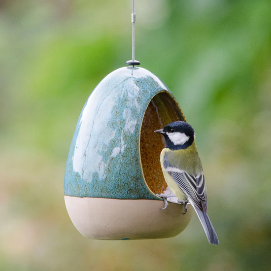 Vierno Drinker Water Dish by National Trust