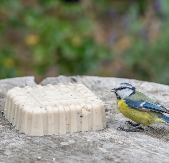 Original Peanut Cake Square 300g by National Trust