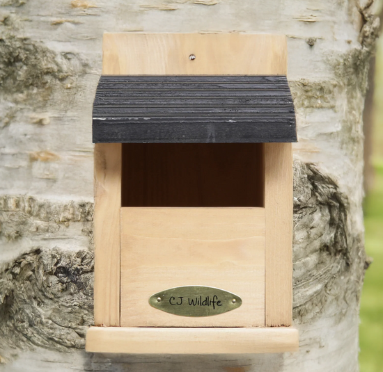 The Viborg Cedar Open Nest Box