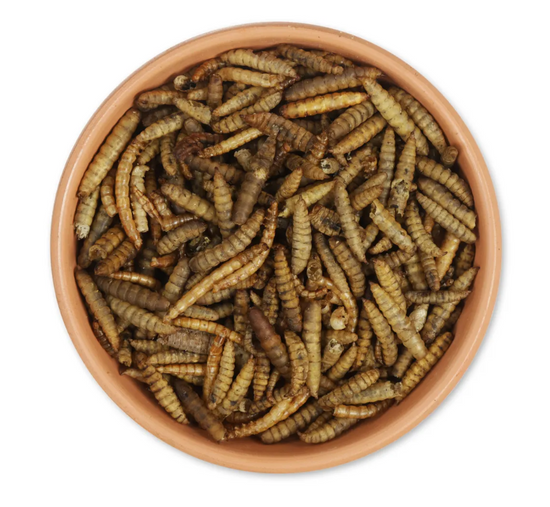 Protein Rich Dried Insect Tub 700g