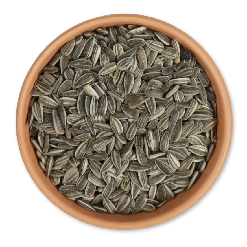 Bestlife Striped Sunflowers 2.25kg Tub