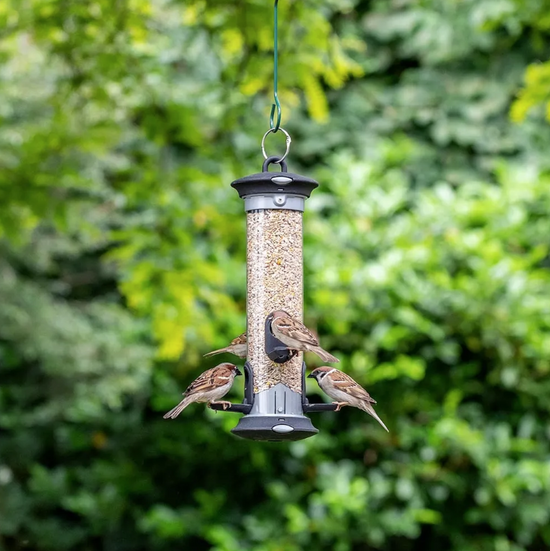 Apollo Seed Feeder - 4 or 8 Ports by National Trust