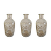 Kew Botanical Glass Jar - Set of 3