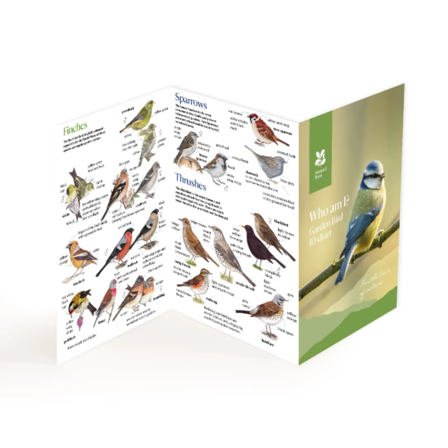 National Trust A5 Bird ID Chart