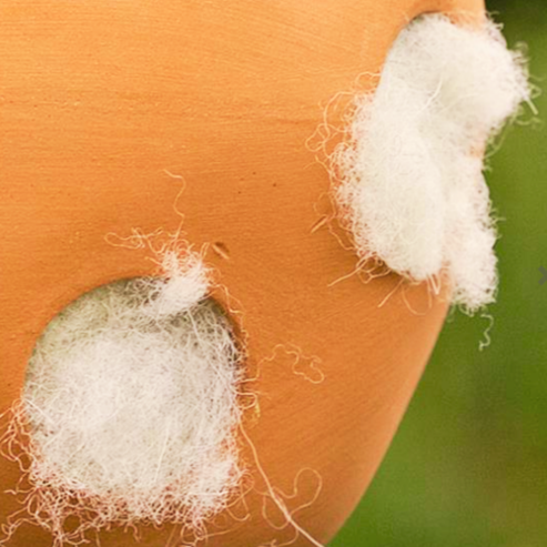 British Nesting Wool