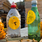 Small Eco Bottle Wasp Trap - Pack of 10