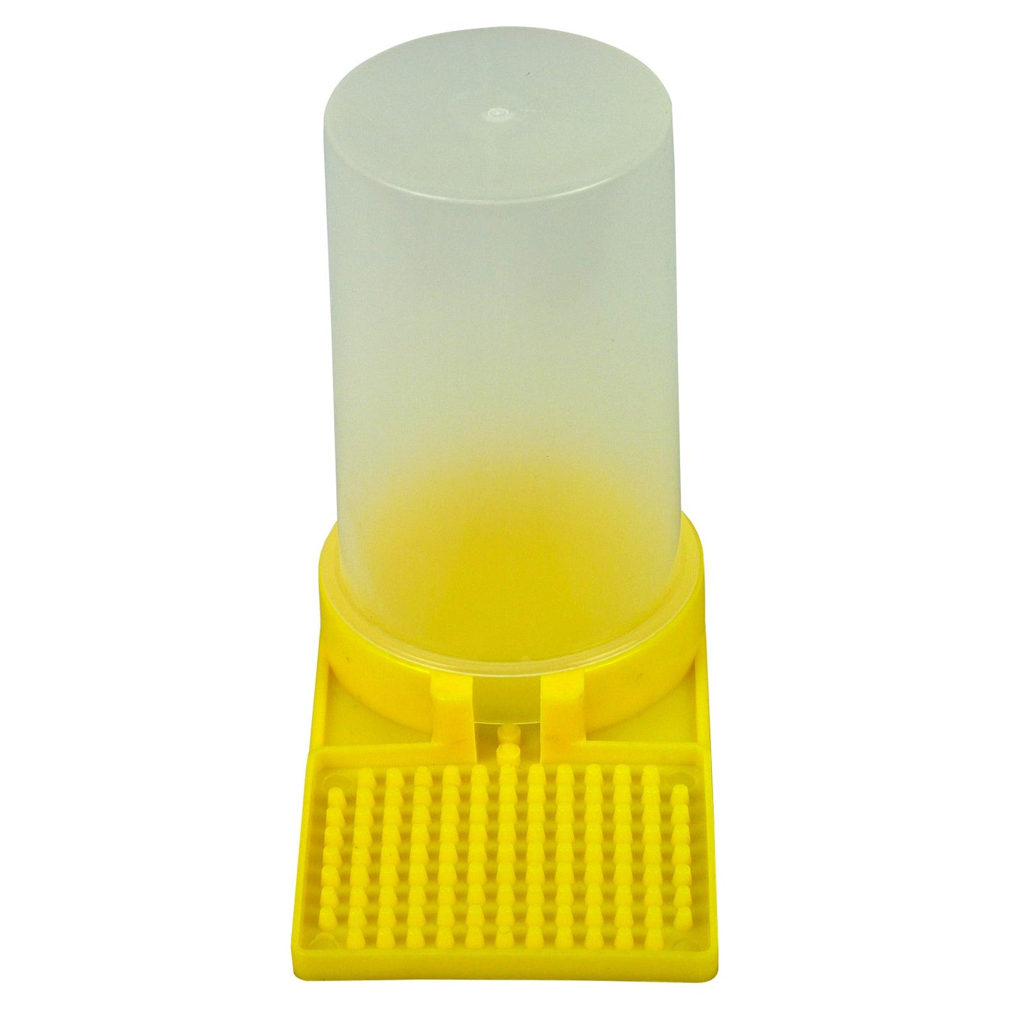 Entrance Feeder