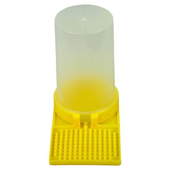 Entrance Feeder
