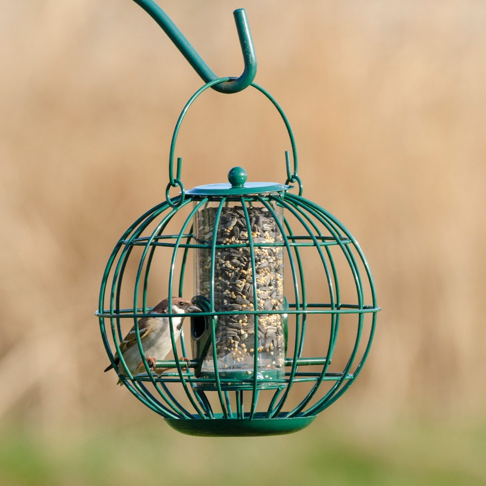 The London Squirrel Resistant Seed Feeder
