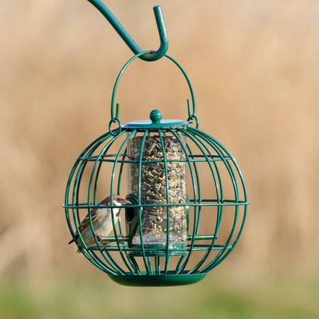 Seed Feeders