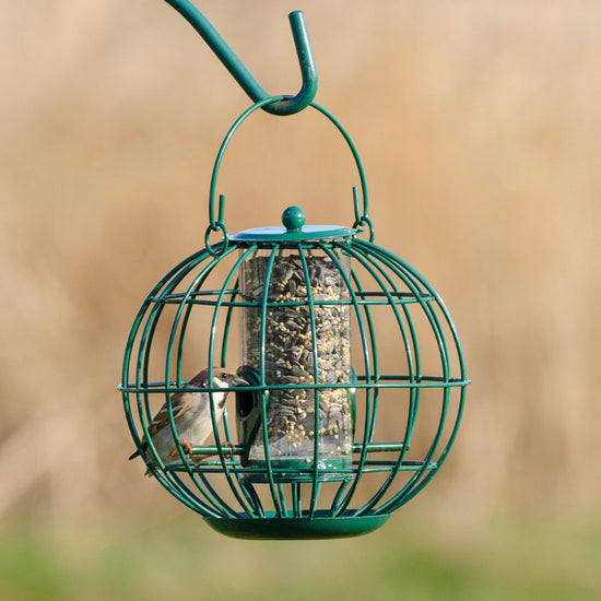 The London Squirrel Resistant Seed Feeder