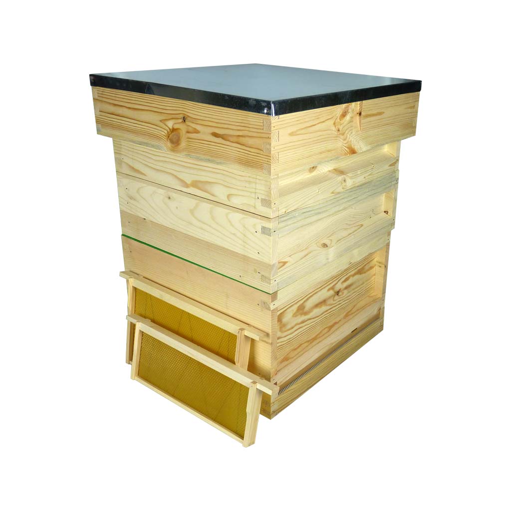 National Complete Premium Hive Kit with Frames & Wax Foundation - Pine