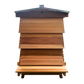 WBC Hive Kit - Cedar