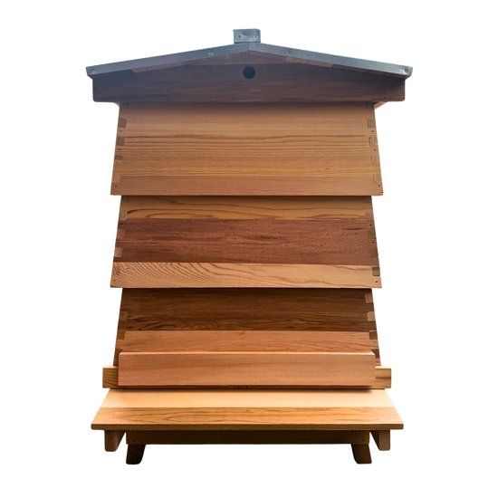 WBC Hive Kit - Cedar