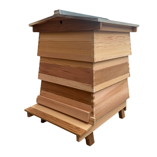 WBC Hive Kit with Frames & Foundation - Cedar